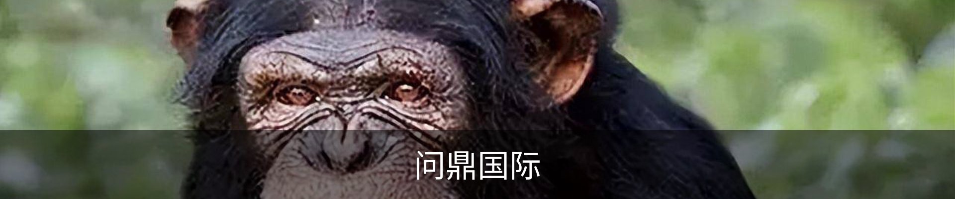 问鼎国际· (pg)-官方网站